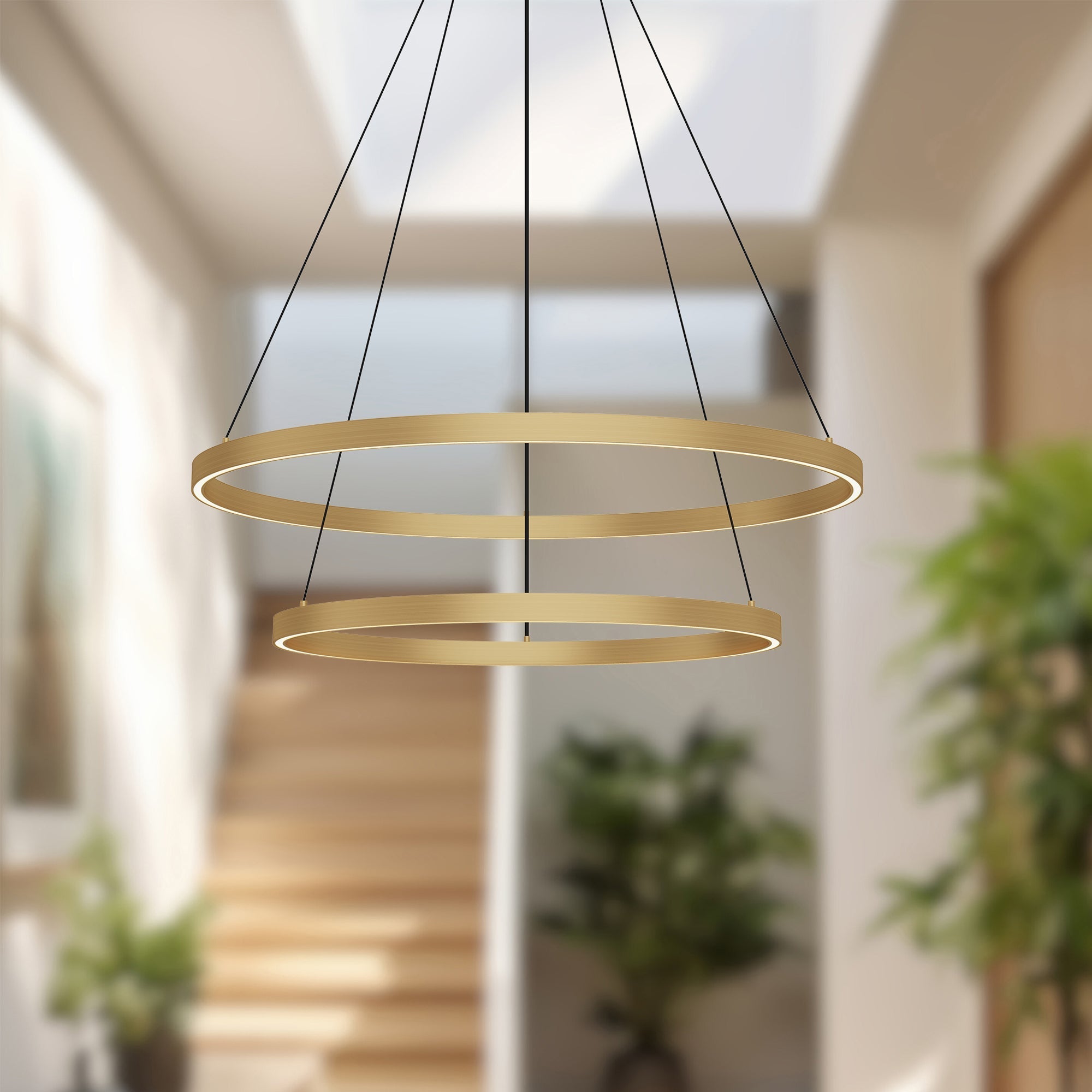 Kuzco Cerchio 32-in LED Chandeliers, Brushed Gold
