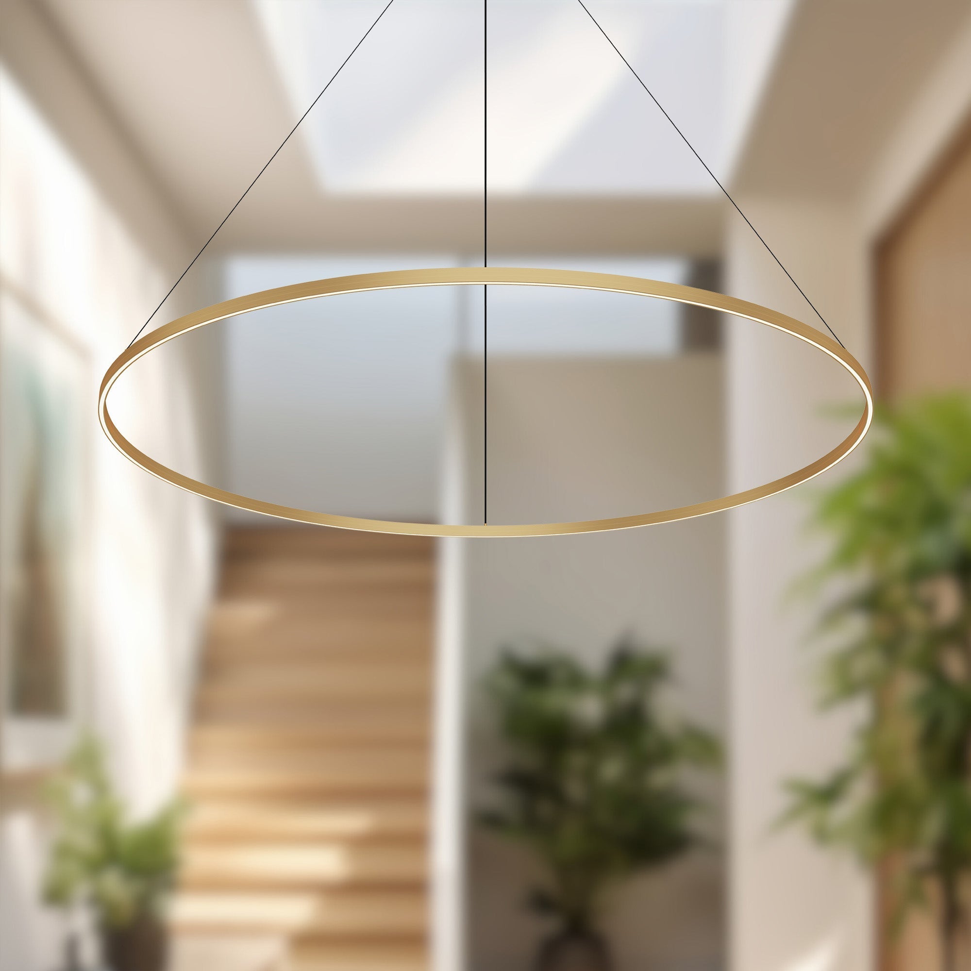 Kuzco Cerchio 72-in Pendant, LED, Brushed Gold