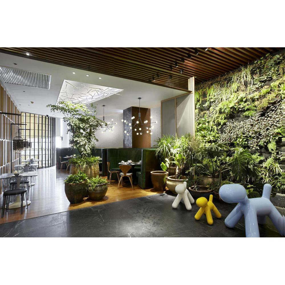 Kuzco Lighting CH97358-BK Moto 56-in Black LED Chandelier, UL Damp Rated, Black