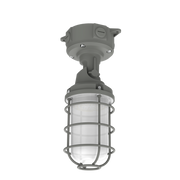 Ceiling Light Fixtures LED vapor tight guard